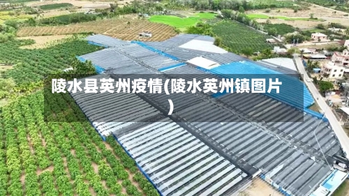 陵水县英州疫情(陵水英州镇图片)