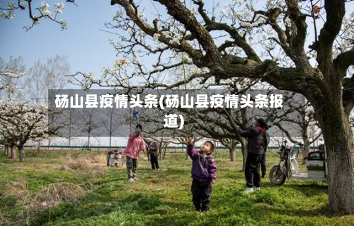 砀山县疫情头条(砀山县疫情头条报道)
