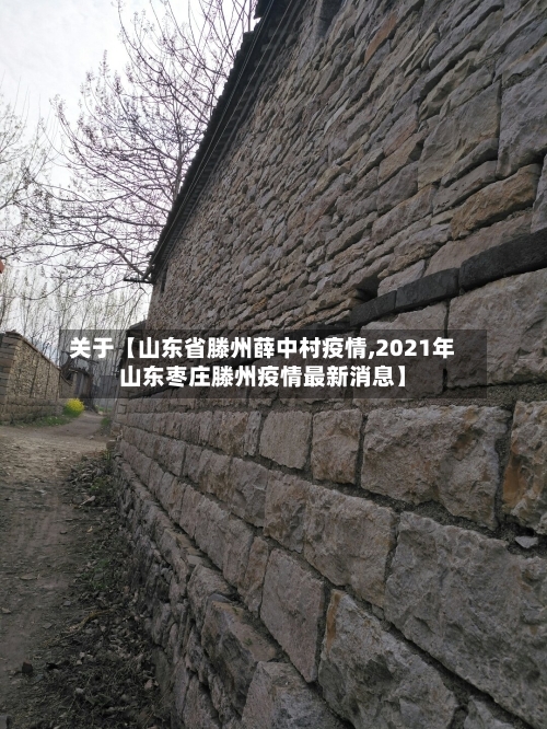 关于【山东省滕州薛中村疫情,2021年山东枣庄滕州疫情最新消息】