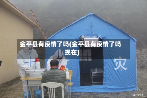 金平县有疫情了吗(金平县有疫情了吗现在)