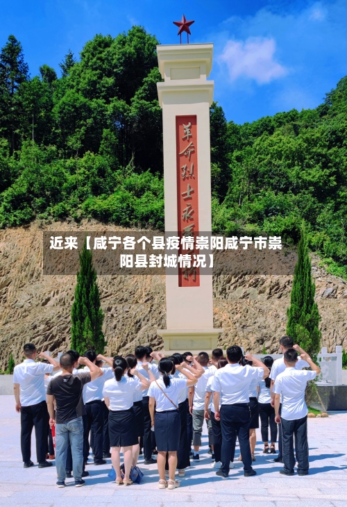 近来【咸宁各个县疫情崇阳咸宁市崇阳县封城情况】