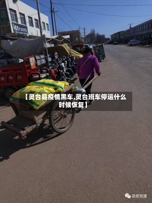 【灵台县疫情黑车,灵台班车停运什么时候恢复】-第3张图片