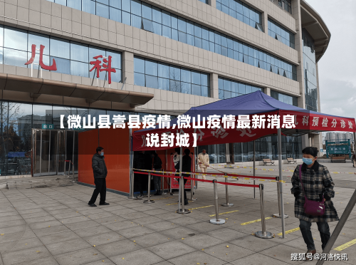 【微山县嵩县疫情,微山疫情最新消息说封城】-第2张图片