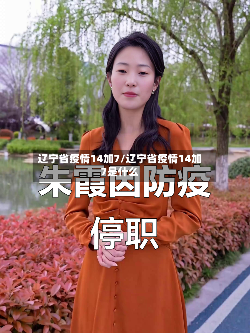 辽宁省疫情14加7/辽宁省疫情14加7是什么