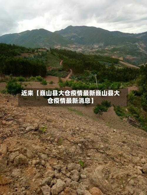 近来【巍山县大仓疫情最新巍山县大仓疫情最新消息】