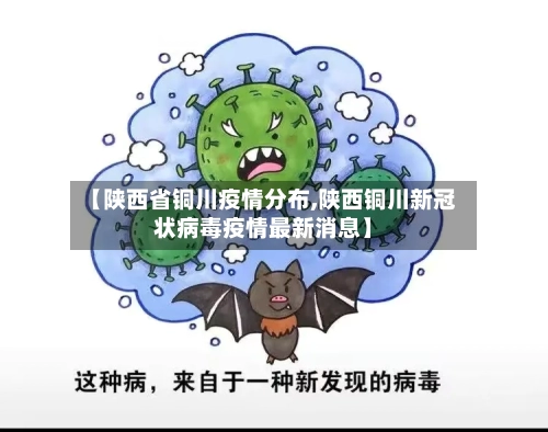 【陕西省铜川疫情分布,陕西铜川新冠状病毒疫情最新消息】