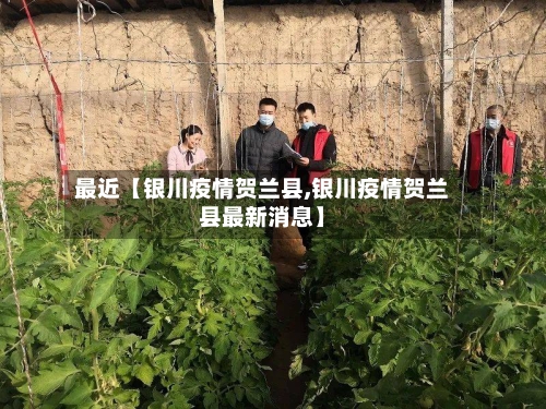 最近【银川疫情贺兰县,银川疫情贺兰县最新消息】