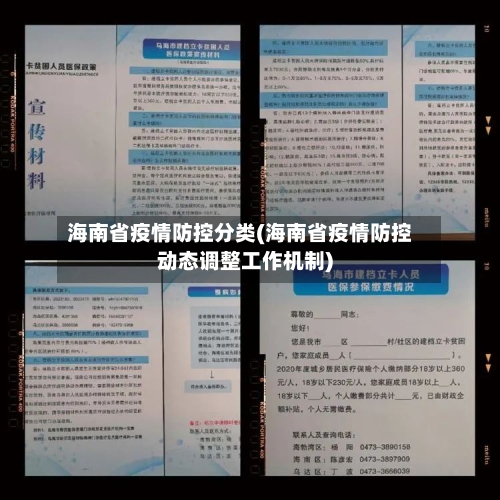 海南省疫情防控分类(海南省疫情防控动态调整工作机制)-第2张图片