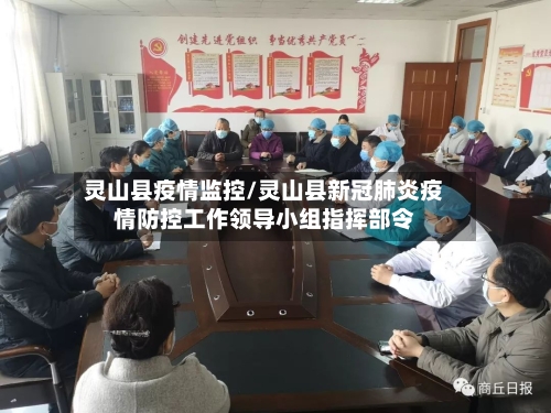 灵山县疫情监控/灵山县新冠肺炎疫情防控工作领导小组指挥部令-第2张图片