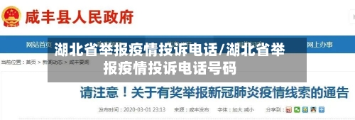 湖北省举报疫情投诉电话/湖北省举报疫情投诉电话号码-第2张图片