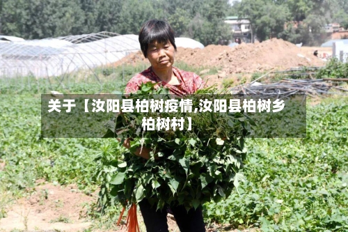 关于【汝阳县柏树疫情,汝阳县柏树乡柏树村】-第2张图片