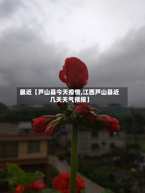 最近【芦山县今天疫情,江西芦山县近几天天气预报】