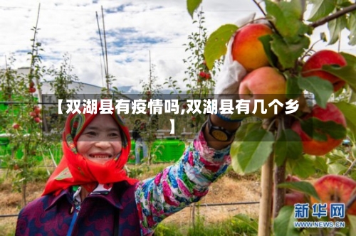 【双湖县有疫情吗,双湖县有几个乡】