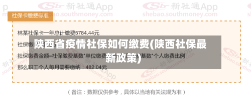 陕西省疫情社保如何缴费(陕西社保最新政策)