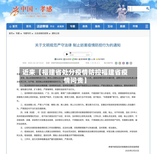 近来【福建省处分疫情防控福建省疫情问责】-第2张图片