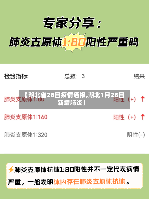 【湖北省28日疫情通报,湖北1月28日新增肺炎】