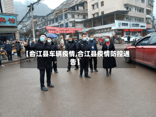 【合江县车辆疫情,合江县疫情防控通告】