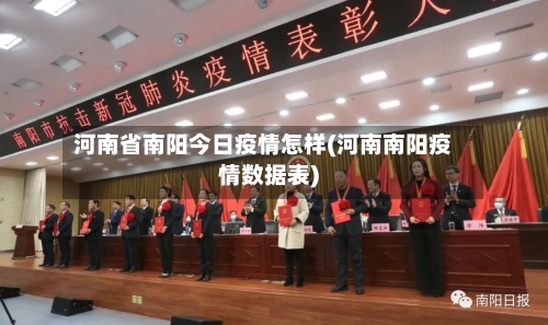 河南省南阳今日疫情怎样(河南南阳疫情数据表)