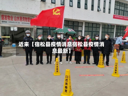 近来【宿松县疫情消息宿松县疫情消息最新】-第3张图片