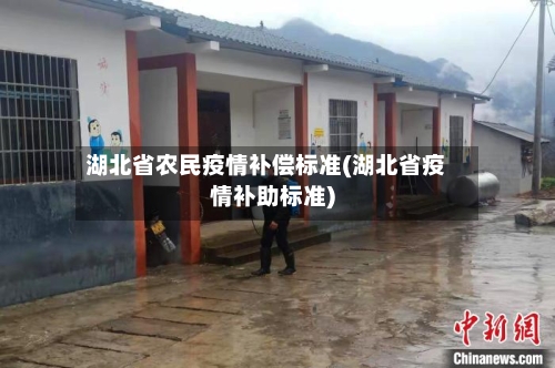 湖北省农民疫情补偿标准(湖北省疫情补助标准)