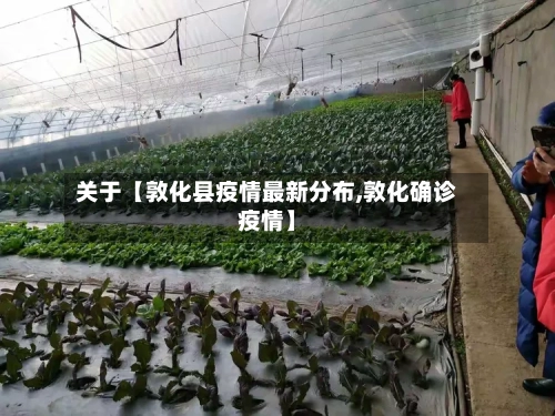 关于【敦化县疫情最新分布,敦化确诊疫情】-第2张图片