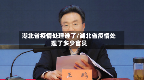湖北省疫情处理谁了/湖北省疫情处理了多少官员
