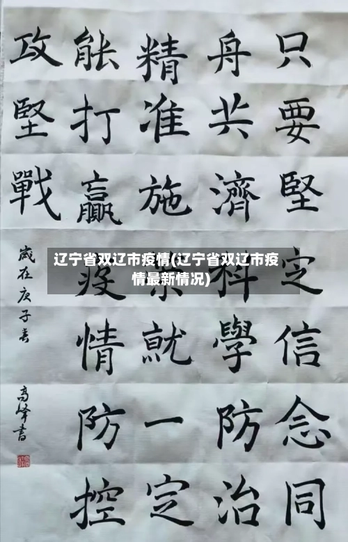 辽宁省双辽市疫情(辽宁省双辽市疫情最新情况)