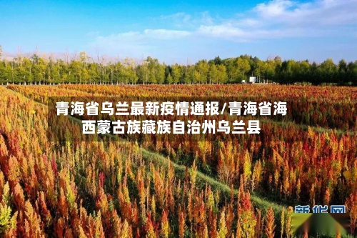 青海省乌兰最新疫情通报/青海省海西蒙古族藏族自治州乌兰县-第2张图片