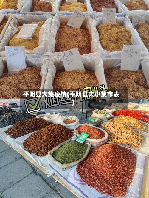 平阴县大集疫情(平阴县大小集市表)-第2张图片