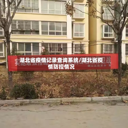 湖北省疫情记录查询系统/湖北省疫情防控情况