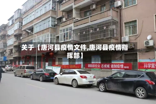 关于【唐河县疫情文件,唐河县疫情指挥部】