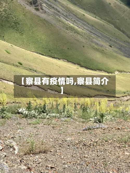 【察县有疫情吗,察县简介】-第2张图片