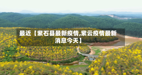最近【紫石县最新疫情,紫云疫情最新消息今天】-第2张图片