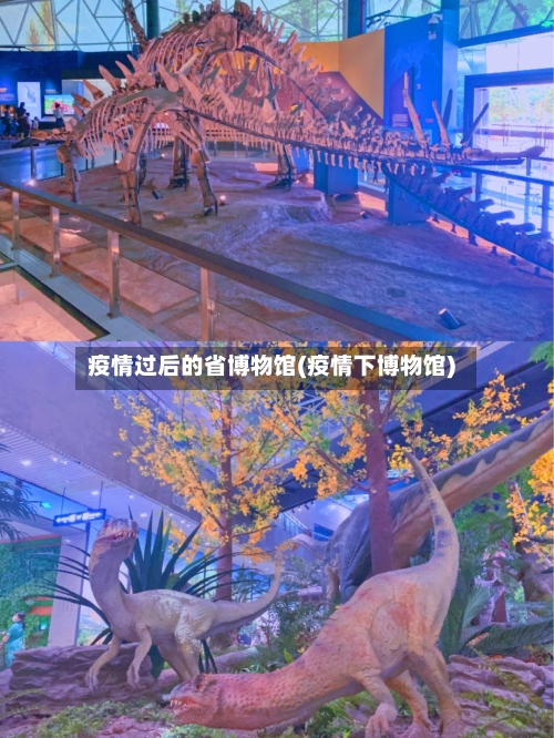 疫情过后的省博物馆(疫情下博物馆)-第2张图片