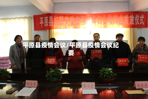 平原县疫情会议/平原县疫情会议纪要-第2张图片