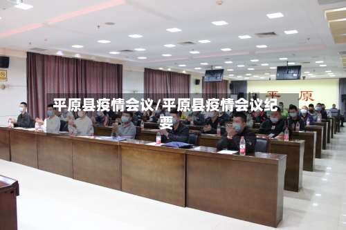 平原县疫情会议/平原县疫情会议纪要