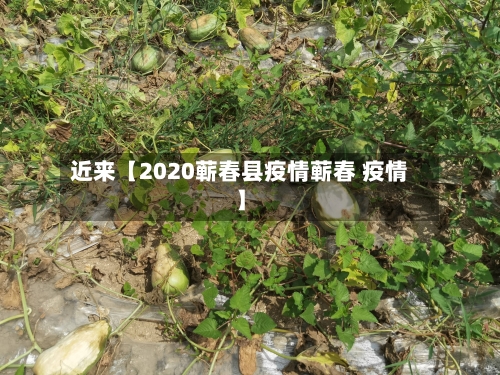 近来【2020蕲春县疫情蕲春 疫情】-第2张图片