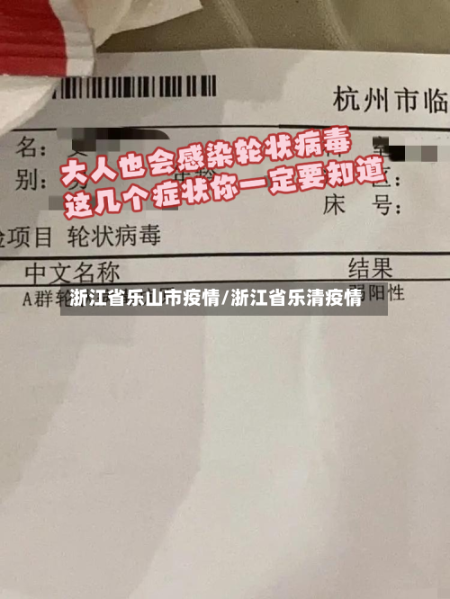 浙江省乐山市疫情/浙江省乐清疫情-第2张图片
