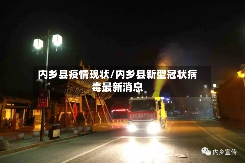 内乡县疫情现状/内乡县新型冠状病毒最新消息-第2张图片