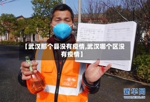 【武汉那个县没有疫情,武汉哪个区没有疫情】-第2张图片