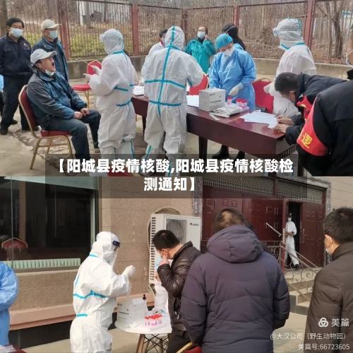 【阳城县疫情核酸,阳城县疫情核酸检测通知】