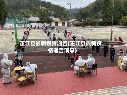 芷江县最新疫情通告(芷江县最新疫情通告消息)-第2张图片