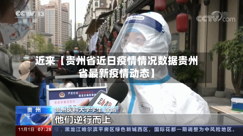 近来【贵州省近日疫情情况数据贵州省最新疫情动态】-第3张图片