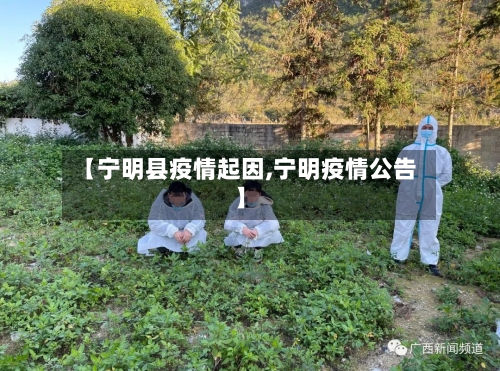【宁明县疫情起因,宁明疫情公告】-第3张图片