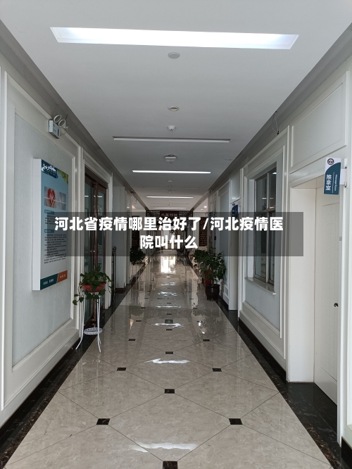 河北省疫情哪里治好了/河北疫情医院叫什么