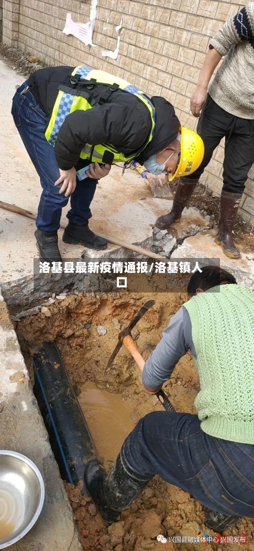 洛基县最新疫情通报/洛基镇人口-第3张图片