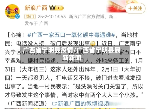 广西省宁明县疫情/广西省宁明县最新新闻-第3张图片