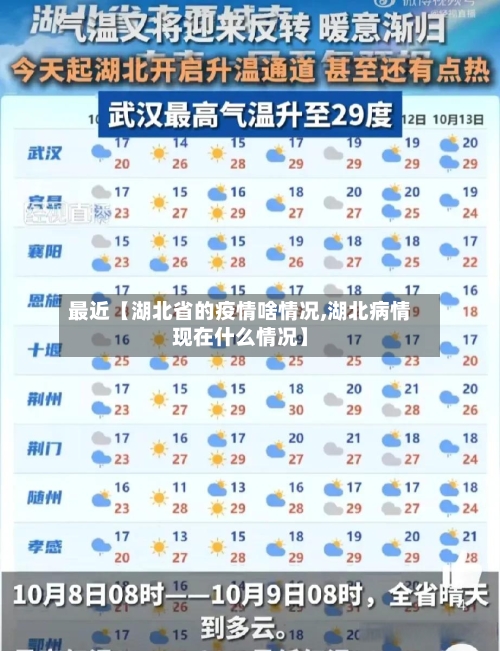 最近【湖北省的疫情啥情况,湖北病情现在什么情况】-第2张图片