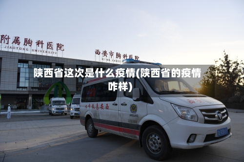陕西省这次是什么疫情(陕西省的疫情咋样)-第3张图片