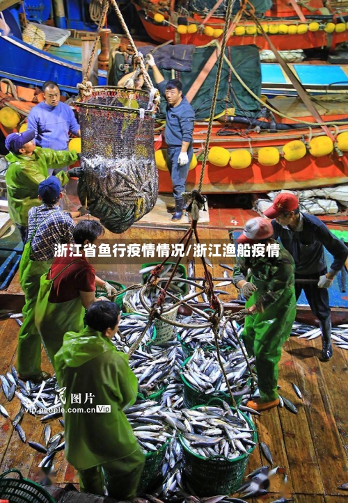 浙江省鱼行疫情情况/浙江渔船疫情